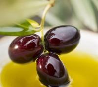 Sicilian olives & olive oil Sicilian olives & olive oil